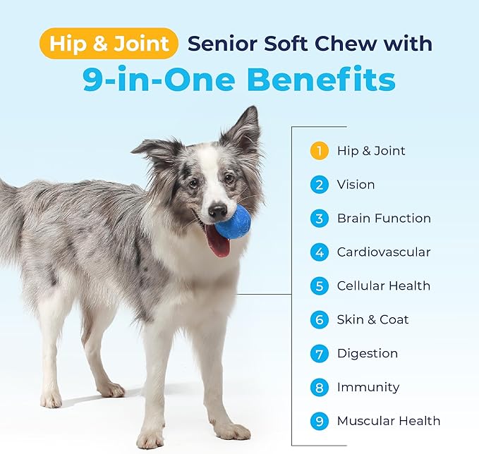 Vetnique Seniorbliss Senior Dog Joint Supplement with Glucosamine and Chondroitin for Dogs Joint Support and Healthy Cartilage Development - for Small & Large Breeds (Hip & Joint Chew, 120ct)