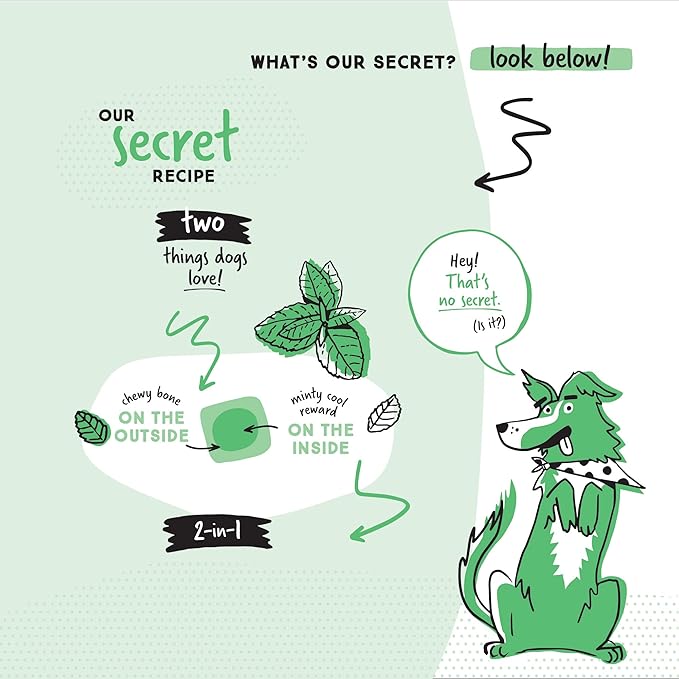 Ultra Chewy Denta-Mint Minis Value Pack Dental Dog Treats. Made in The USA, Healthy Treats, Easy to Digest, Promotes Dental Health - 2 Packs/20 Oz Per Pack