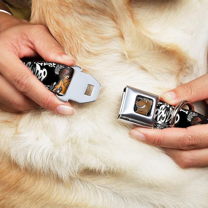 Buckle-Down Seatbelt Buckle Dog Collar - SCOOBY DOO Group Pose/Bones - 1.5" Wide - Fits 13-18" Neck - Small