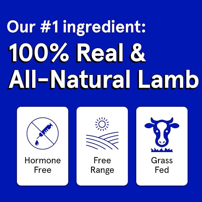 Real Meat Dog Treats - 4oz Bag of Bite-Sized Air-Dried Lamb Jerky for Dogs - Grain-Free Jerky Dog Treats Made up of 95% Human-Grade, Free-Range, Grass Fed Lamb - All-Natural High Protein Dog Treats