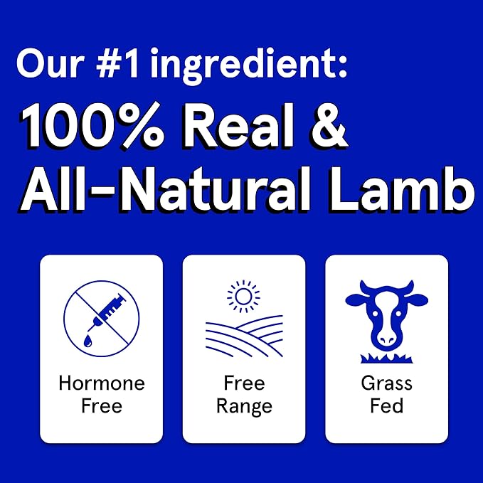 Real Meat Dog Treats - Two 12oz Bag of Bite-Sized Air-Dried Lamb Jerky for Dogs - Grain-Free Jerky Dog Treat Made up of 95% Human-Grade, Free-Range, Grass Fed Lamb - All-Natural High Protein Dog Treat