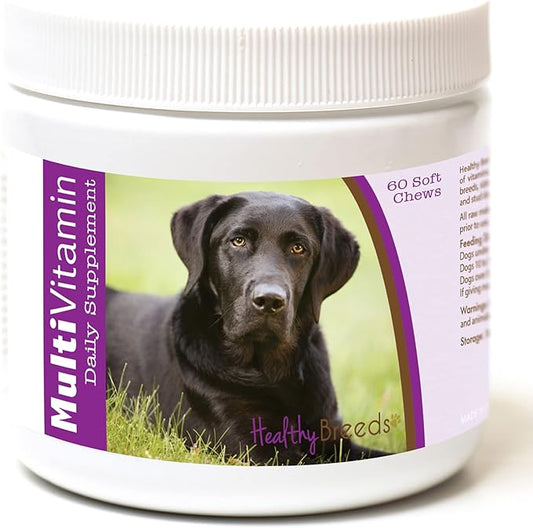 Healthy Breeds Labrador Retriever Multi-Vitamin Soft Chews 60 Count