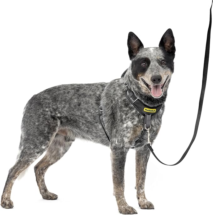 PetSafe Easy Walk Comfort No-Pull Dog Harness Full-Body Padding - Better Walks on The First Use - 5 Points of Adjustment Medium/Large, Black