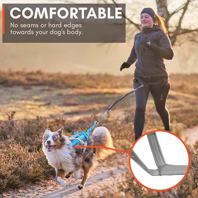 Non-stop dogwear Freemotion harness 5.0 Dog Pulling Harness for Sports like Running, Biking and Skiing with Dogs, Professional Adjustable Dog Harness, Orange/Black, Size 4
