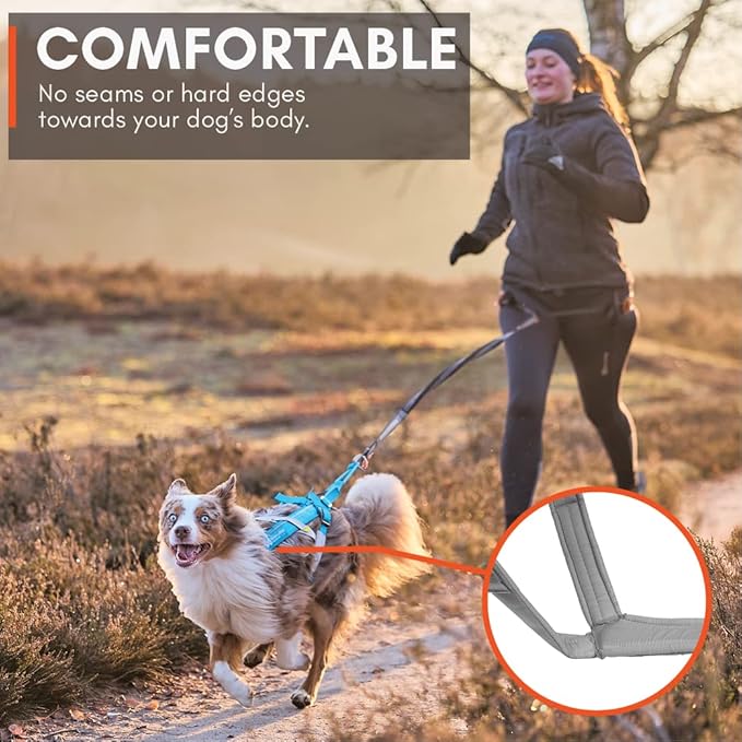 Non-stop dogwear Freemotion harness 5.0 Dog Pulling Harness for Sports like Running, Biking and Skiing with Dogs, Professional Adjustable Dog Harness, Blue/Gray, Size 3