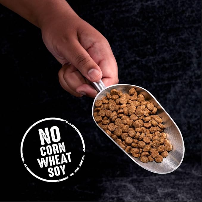 CRAVE Grain Free High Protein Adult Dry Dog Food with Lamb, 12 lb. Bag