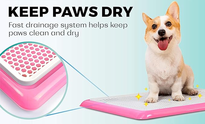 Pet Awesome Dog Potty Tray/Puppy Pee Pad Holder 25”x20” Indoor Wee Training for Small and Medium Dogs