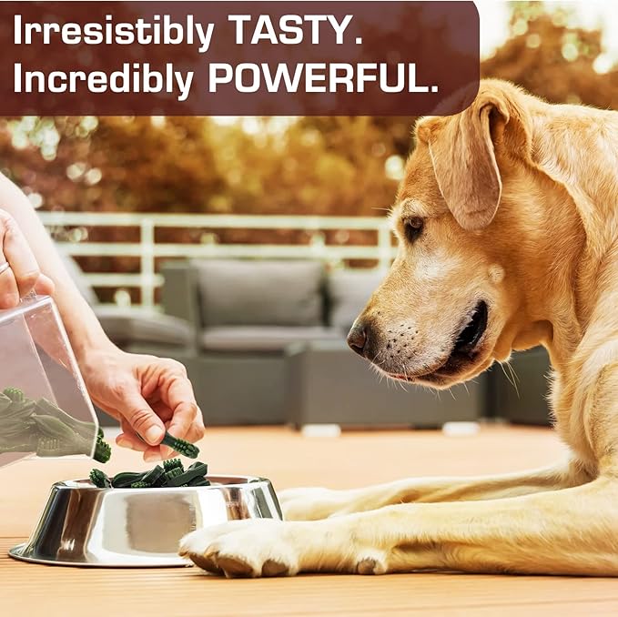 UrbanX HealthyBones Original Natural Dog Dental Care Mint Snacks Oral Health Dog Food for Australian Shepherd Pit Bull Mix and Other Large Mixed Breed Dogs, 15 Count