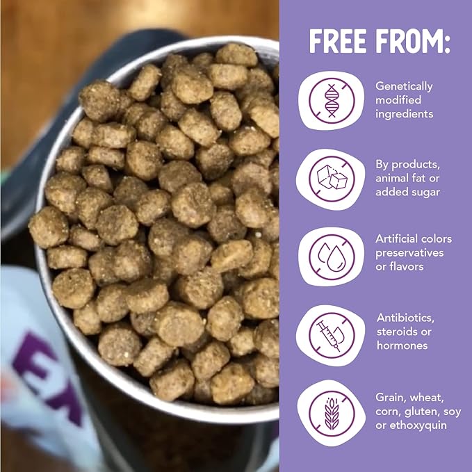 Health Extension Grain Free Little Bites for Dogs, Natural Food with Added Vitamins & Minerals, Perfect for Teacup, Toy & Small Dogs, Chicken & Turkey Recipe (12lb Bag)