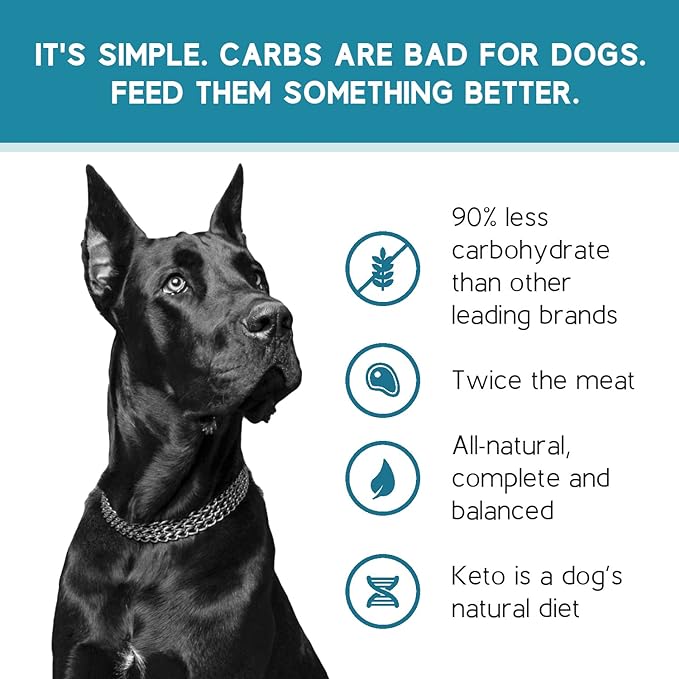 Ketona Salmon Recipe Adult Dry Dog Food, Natural, Low Carb (Only 5%), High Protein (46%), Grain-Free, The Nutrition of a Raw Diet with The Cost and Convenience of a Kibble; 24.2 lb