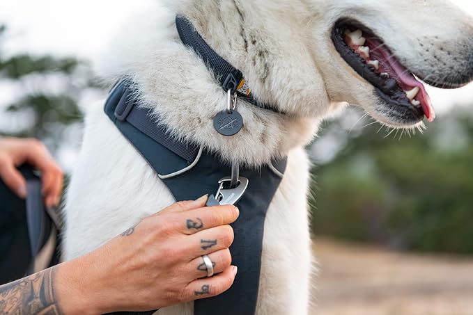 Ruffwear, Front Range Dog Collar, Durable and Comfortable Collar for Everyday Use, Moonlight Fade, 14"-20"