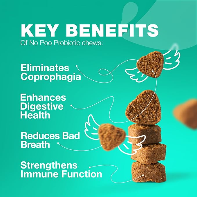 Probiotics for Dogs - Coprophagia Deterrent for Dogs - Deterrent for Dogs Eating Poop - Dog Probiotics Treats - Probiotic Chews for Dogs - Dog Probiotic & Digestive Enzymes - Gut Health, Itchy Skin
