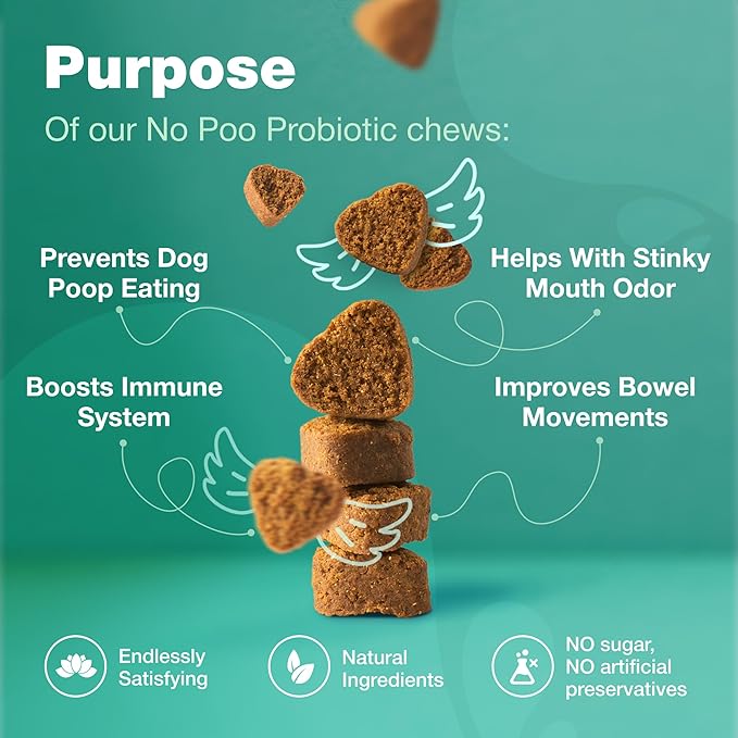 Zip-Lock, No Poo Probiotic Dog Chews - Digestive Strength, Gut Health Support - Dog Supplement for General Health Support - Skin & Coat