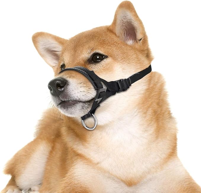 Nylon Dog Muzzle for Small,Medium,Large Dogs Prevent from Biting,Barking and Chewing,Adjustable Loop(XL/Blue)