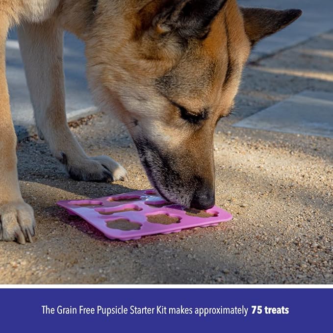 Cooper's Treats Pupsicle Starter Kit - Easy, Homemade Frozen Dog Treat Mix (Contains Two Jars of DIY Healthy Dog Treat Mix) - Grain Free