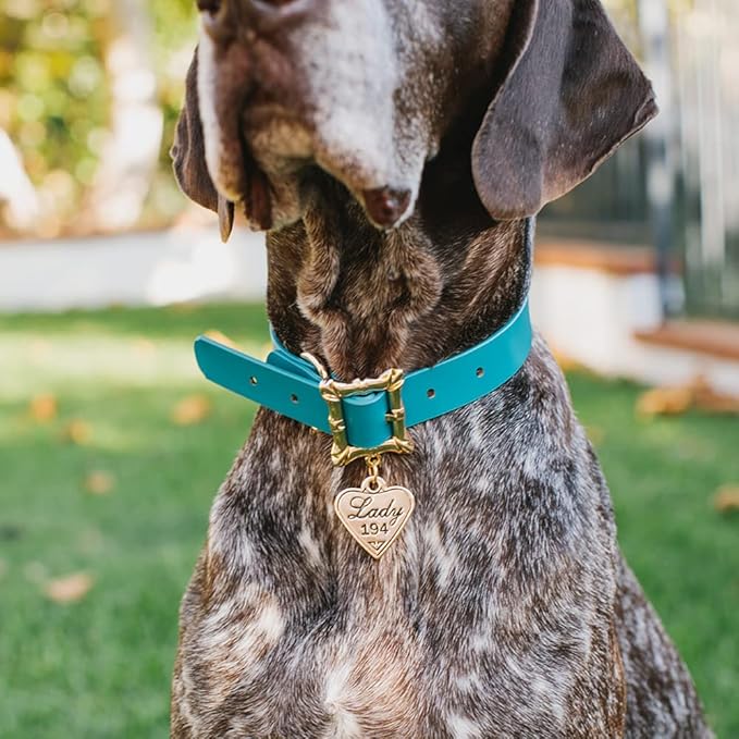 Buckle-Down Dog Collar, Disney Lady and The Tramp, Movie Replica with Heart Charm, Extra Large 18 to 24 Inch Length 1.15 Inches Wide