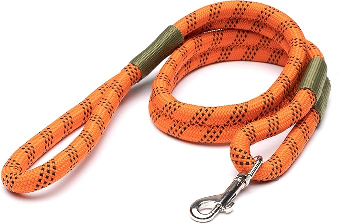 ROVERLUND Airline-Compliant Pet Carrier | includes Leash | Suitable for Pets up to 20lbs