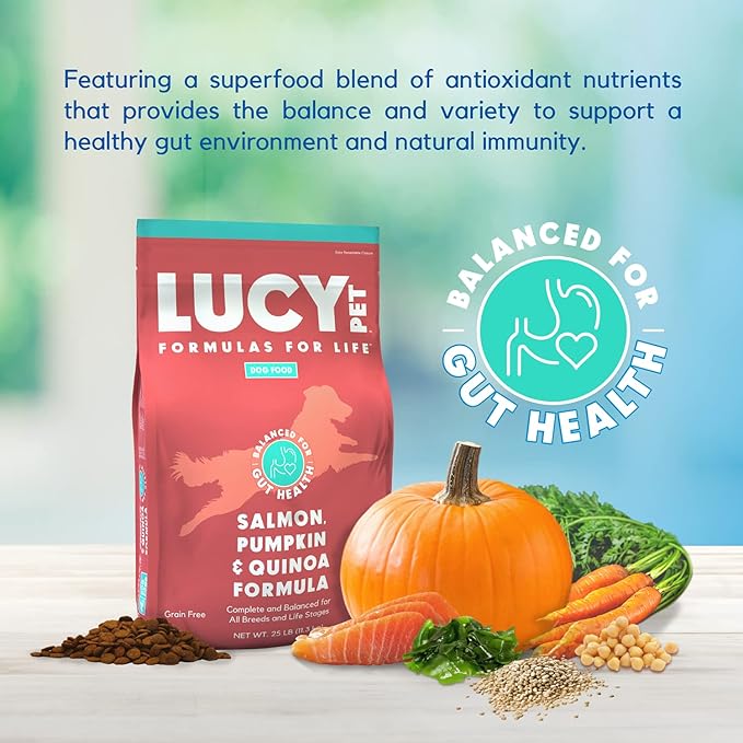 Lucy Pet Formulas for Life Salmon, Pumpkin, & Quinoa Dry Dog Food, All Life Stages, Digestive Health, Sensitive Stomach & Skin, 25lb bag