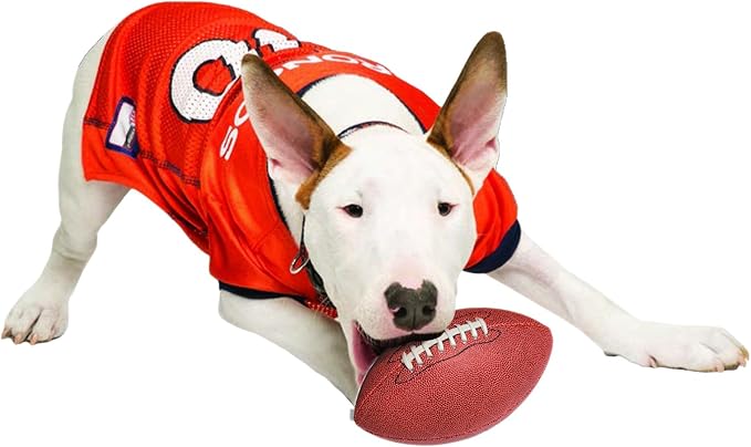 NFL Denver Broncos Dog Jersey, Size: Medium. Best Football Jersey Costume for Dogs & Cats. Licensed Jersey Shirt