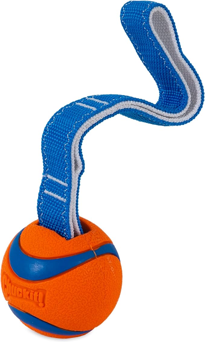 Chuckit! Ultra Tug Dog Toy (Medium) and Ultra Fetch Stick Dog Toy
