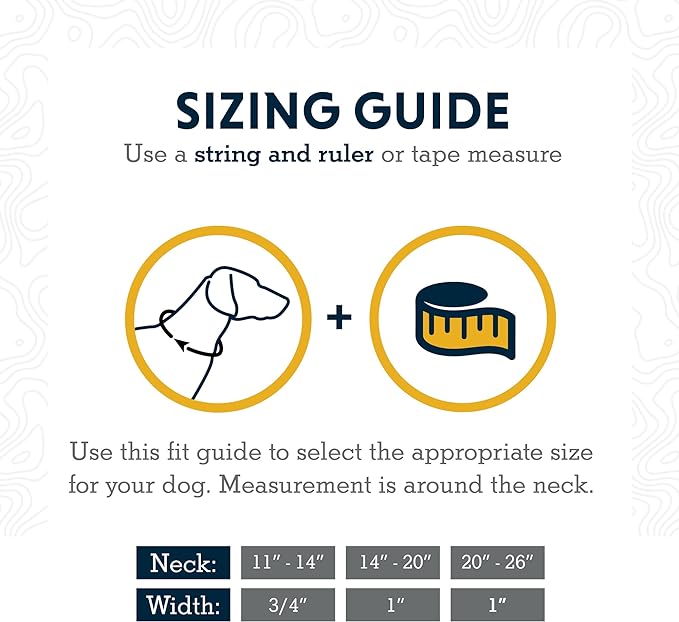 Ruffwear, Chain Reaction Dog Collar, Martingale Style for On-Leash Walking, Blue Pool, 11"-14"