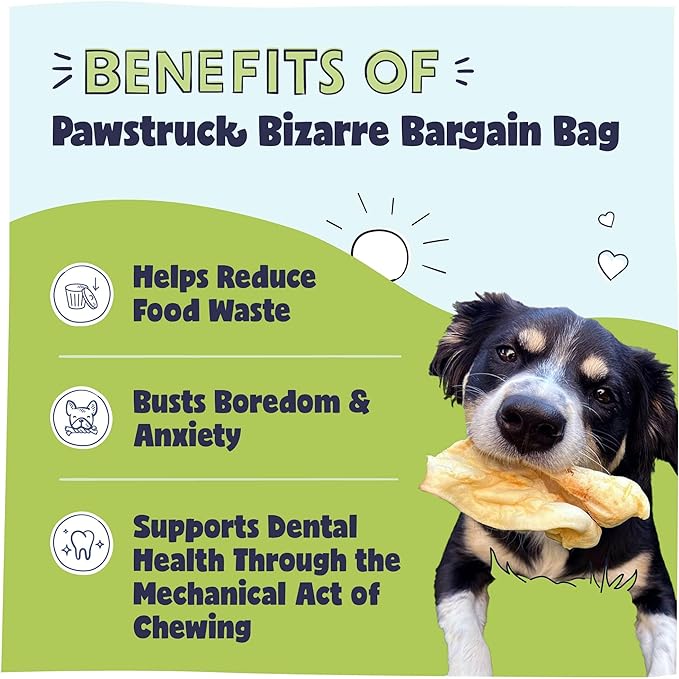 Pawstruck Bizarre Bargain Bag Assorted Natural Dog Chew Treats - Animal Ears, Jerky, Bones, Hooves, Beef Straps - Long Lasting Rawhide Alternative for Chewers All Breeds - 1 lb - Packaging May Vary