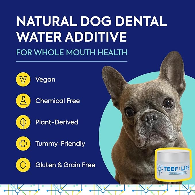 for Life Protektin42 Plant-Derived Dental Water Additive for Dogs, Daily Dental Care, Clinically-Proven Formula Naturally Fights Plaque and Tartar, Refill Packet with 30 Servings
