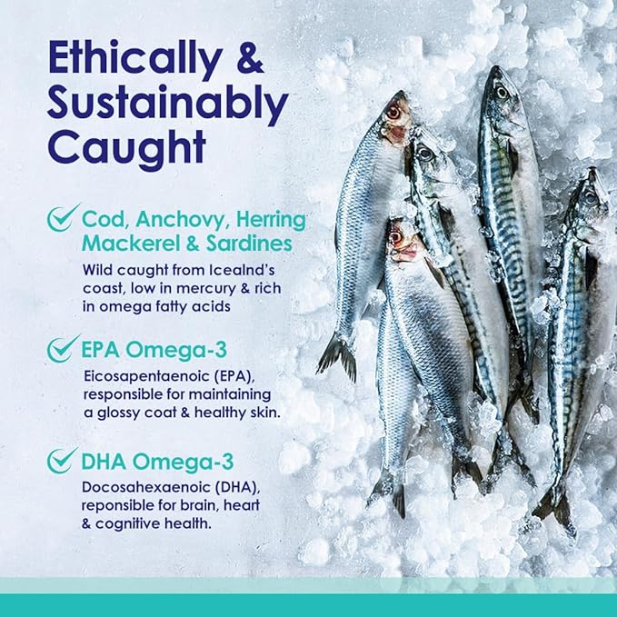 Liquid Fish Oil for Dogs with Omega 3, 6 & 9 Fatty Acids, Wild Caught from Iceland, Skin and Coat Supplement for Shedding, Itchy Skin, Allergies, Brain and Heart Health, Rich in EPA + DHA - 16 oz