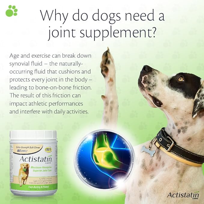 Canine Large Dog Soft Chews, 120ct – Patented Extra-Strength Joint, Cartilage, Soft Tissue Supplement: Glucosamine, Chondroitin, Manganese, MSM, L-Carnitine – High Absorption, Fast Results