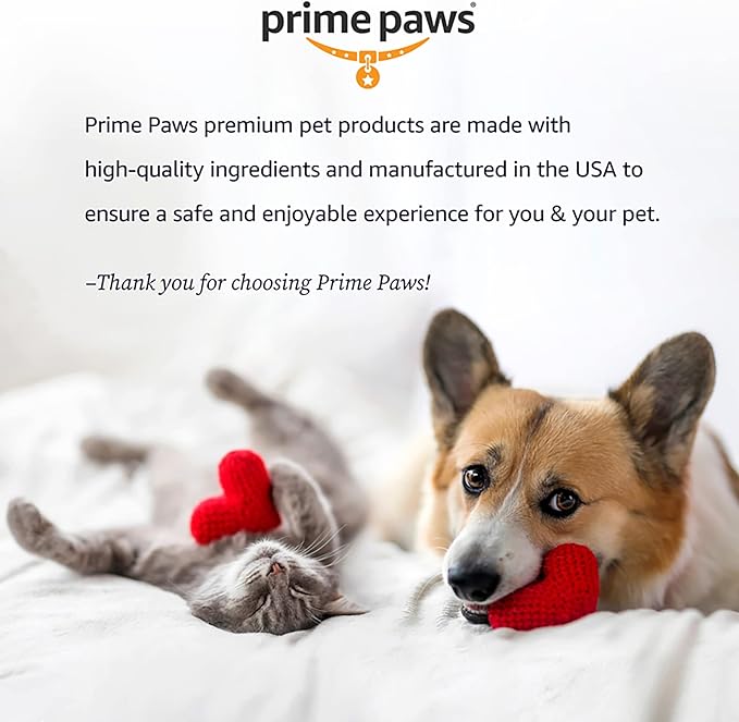 Ear Wipes for Dogs - Address Itchy Dog Ears & Help Remove Wax - Dog Ear Cleaner Wipes for Daily Ear Care - Canine Otic Cleanser Wipes with Aloe Vera & Pet-Safe Eucalyptus - 100 ct