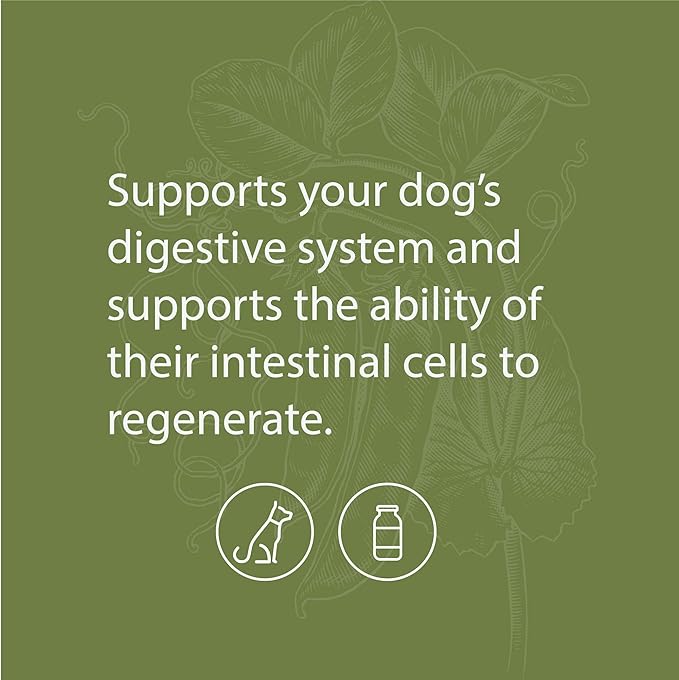 Standard Process - Canine Enteric Support - Digestive System Support for Dogs - 30 Grams