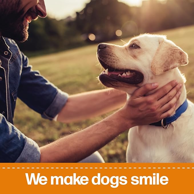Bones for Dogs, Dental Chews - 100 Delicious Mini Treats, Made in The USA - Mini Dog Dental Chews to Support Your Dog’s Health (Doozie Bone Peanut Flavor)