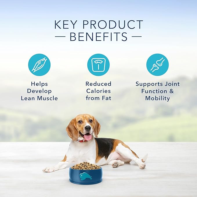 Blue Buffalo Life Protection Formula Natural Adult Healthy Weight Dry Dog Food, Chicken and Brown Rice 5-lb Trial Size Bag