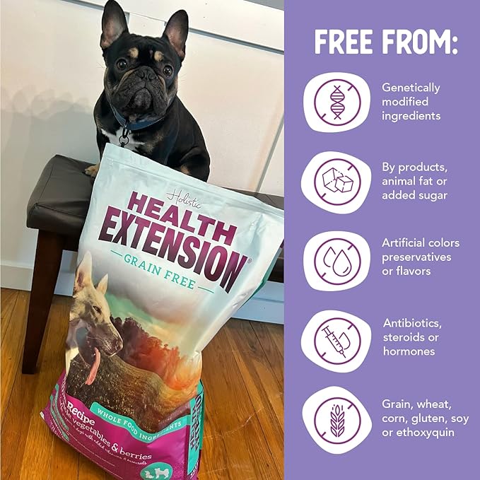 Health Extension Dry Dog Food, Natural Food with added Vitamins & Minerals, Suitable for All Puppies, Grain Free, Salmon & Sweet Potato Recipe with Whole Vegetable & Berries (1 Pound)
