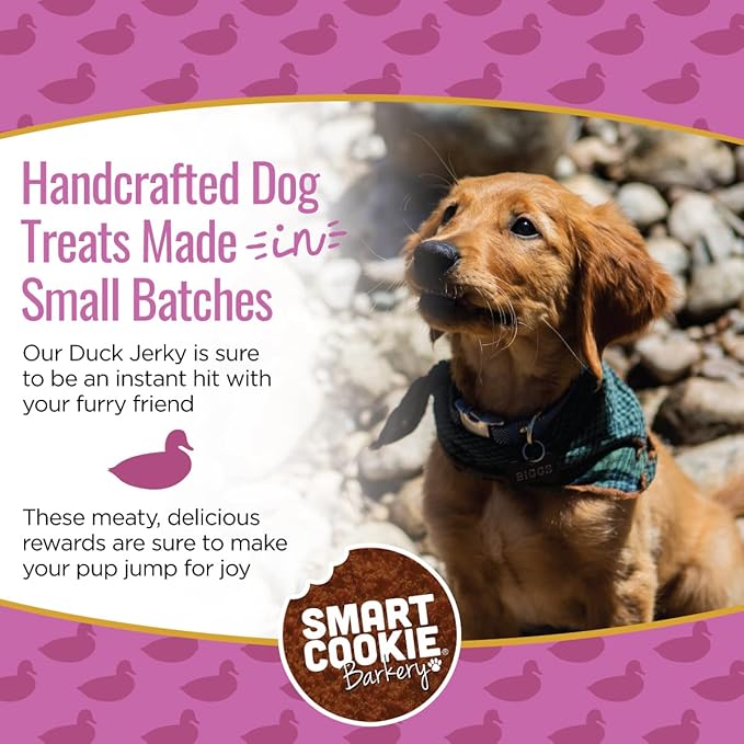 Duck Jerky Dog Treats with Flax Seed, Omega Oils- Hypoallergenic Strips for Dogs and Puppies with Allergies, Sensitive Stomachs - Dehydrated, Grain Free, Made in USA - 3oz Bag, Pack of 1