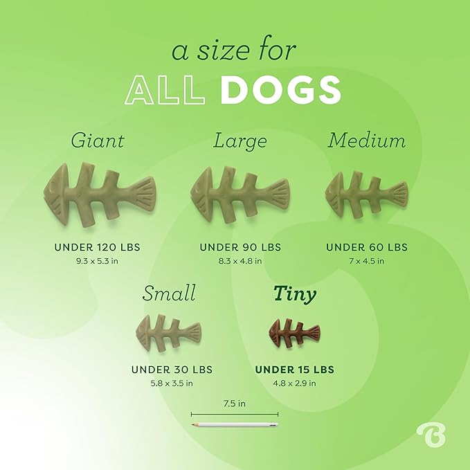 Benebone Tiny 2-Pack Fishbone Durable Dog Chew Toys, Real Fish Flavor, Made in USA