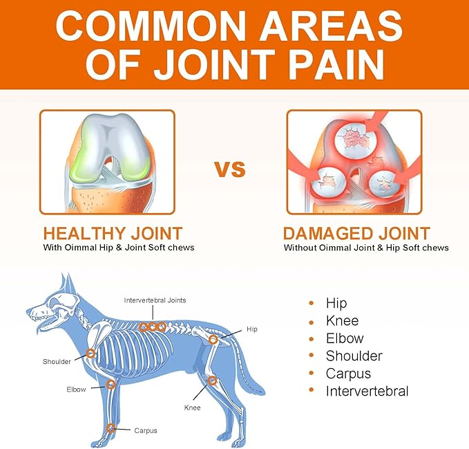 Glucosamine for Dogs, Hip and Joint Supplement (150 Tablets 13.2 oz) - Joint Care Chews w/Chondroitin Sulfate, MSM, Hemp Oil - Arthritis Pain Relief, Mobility Support for Small & Large Breed