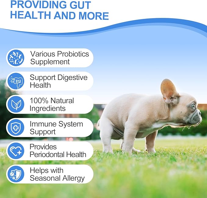 Probiotics for Dogs, Organic Pumpkin with 6 Digestive Enzymes, Providing Probiotics for Gut Flora, Digestive Health, Occasional Diarrhea, 120 Count Lamb Flavor