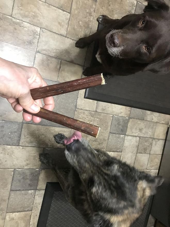 Bully Bunches All Natural 6 Inch Beef Jerky Sticks – Soft and Crunchy Gullet Chews - Odor Free, Rawhide Free, Chemical Free – Safe, Healthy and Nutritious Dog Treats for Light Chewers, 25 Pk