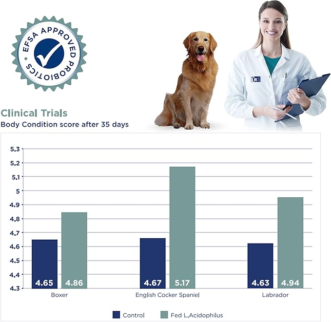 Canigest Combi - Diarrhea Treatment for Dogs | Stop Diarrhea in Hours | Combination of Pectin + Kaolin + 2 Probiotics + 2 Prebiotics | No Recurrence of Symptoms for Months - 32mL