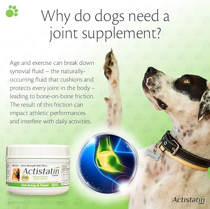 Canine Large Dog Soft Chews, 60ct – Patented Extra-Strength Joint, Cartilage, Soft Tissue Supplement: Glucosamine, Chondroitin, Manganese, MSM, L-Carnitine – High Absorption, Fast Results