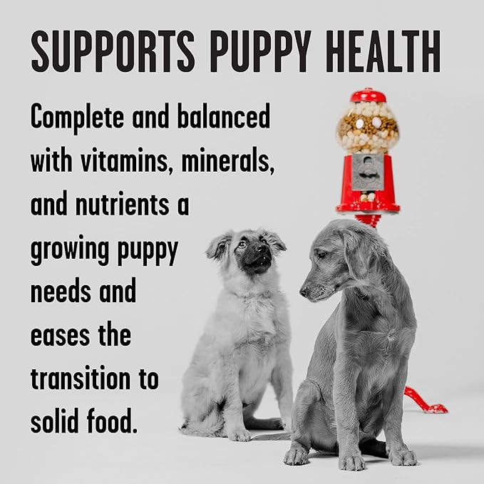 BIXBI Rawbble Grain-Free Canned Wet Dog Food for Puppies, Turkey Recipe, 12.5 oz. Cans (Pack of 12)