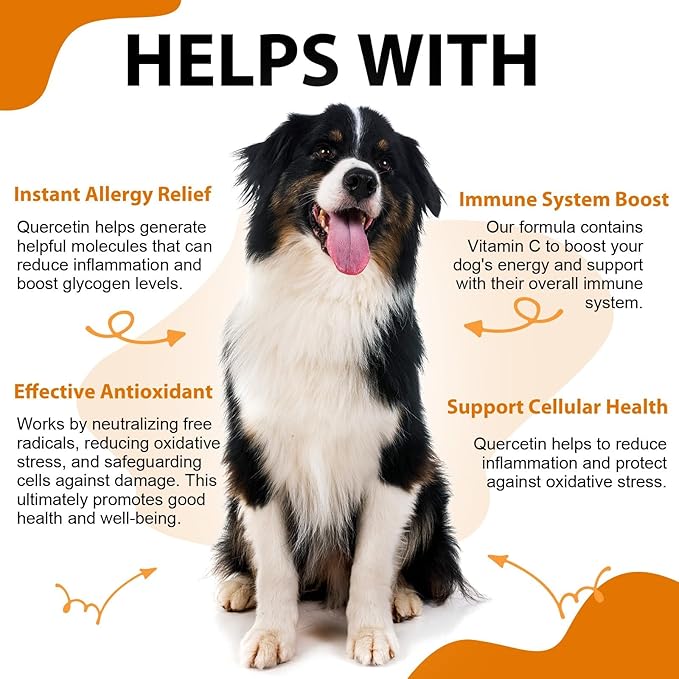 Quercetin for Dogs, Dog Quercetin with Vitamin C Supports Dogs Allergy Relief, Support Balanced Immune System, Pet Supplement Quercetin for Dog Allergies, Bacon Flavor - 1 Pack 60ml / 2.02oz