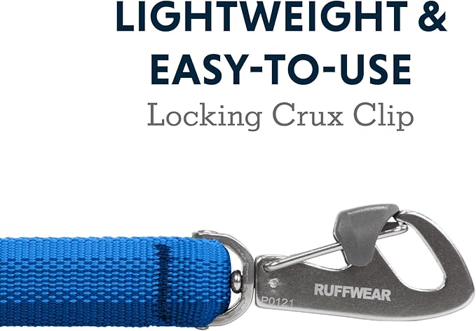 Ruffwear, Front Range Dog Leash, 5 ft Lead with Padded Handle for Everyday Walking, Blue Pool