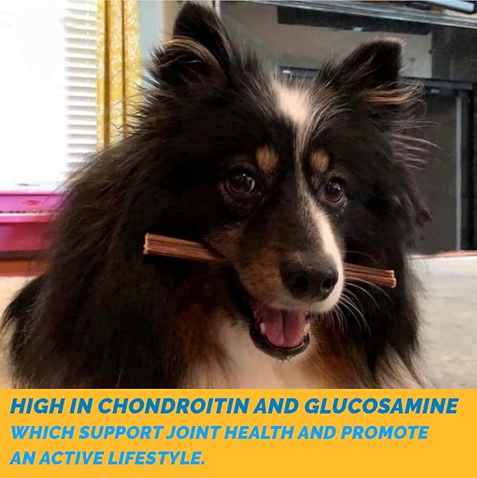 Beef Sticks for Dog - 100% Natural Esophagus Healthy Chews - Meat Jerky Snack for Dogs (6" - 10 Count Sticks)