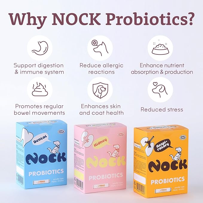 NOCK Probiotics for Dogs,Improve Kidney Function, Support Urinary Tract Health Supplement for Your Dogs Stomach, Intestine Health(220 Billion CFUs Per)