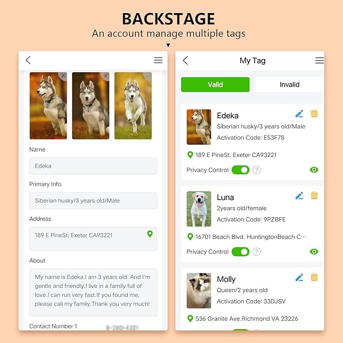 (2 Pack) QR Code Pet ID Dog cat Tags for Collar Personalized for Pet Online Profile - Scan QR Receive Instant Pet Location Alert Email, Anti-Lost,No Subscription fees (Black & Pink, for Dog - 1.2")