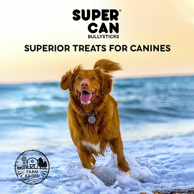 SUPER CAN BULLYSTICKS Beef Gullet Sticks for Dogs 12" (4 count) | Natural Beef Sticks Jerky Chews for Puppies & Small Dogs | Glucosamine Rich Dog Treats for Healthy Joints | Softer Than Bully Sticks