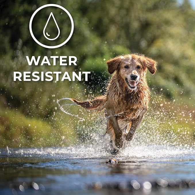 Hip + Joint Mobility Collar for Dogs with Glucosamine, Chondroitin, MSM, and More | Convenient & Easy | 30 Days of Continuous Support | Water Resistant (Small)
