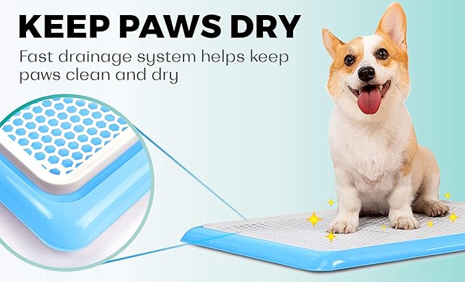 Pet Awesome Dog Potty Tray/Puppy Pee Pad Holder 25”x20” Indoor Wee Training for Small and Medium Dogs